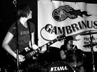 The Ramonas - Le Gambrinus - Liège